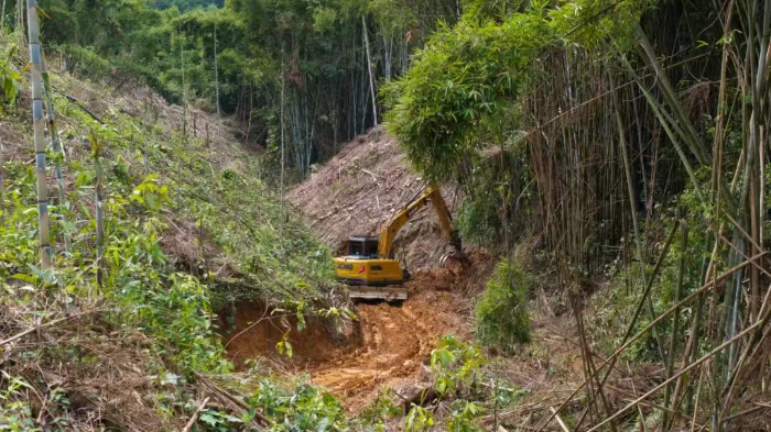 林间“藏龙”，竹海“卧虎”——九游娱乐林业挖机广西侠客行